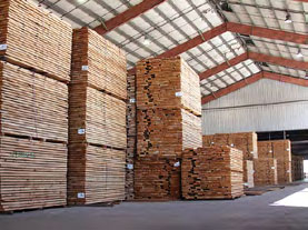 timber processing image3